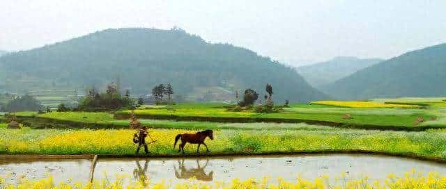 “我运气太差”这句话，我上周还在电梯里听一个穿外卖服的小哥 - 鹿快