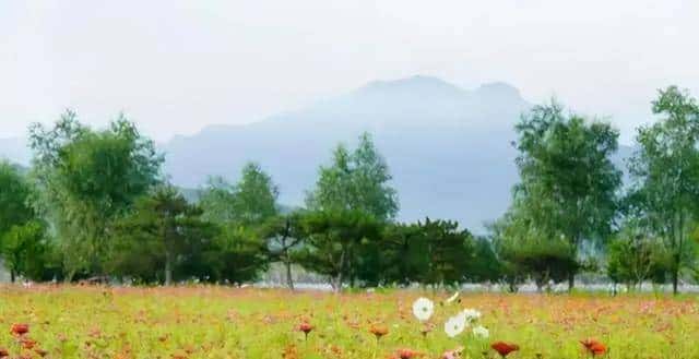 “我运气太差”这句话，我上周还在电梯里听一个穿外卖服的小哥