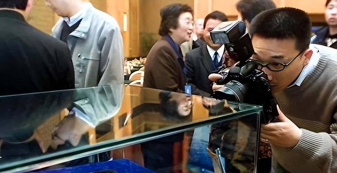 他骗取11亿研发经费，让“中国芯”停滞13年，事情败露后出逃美国