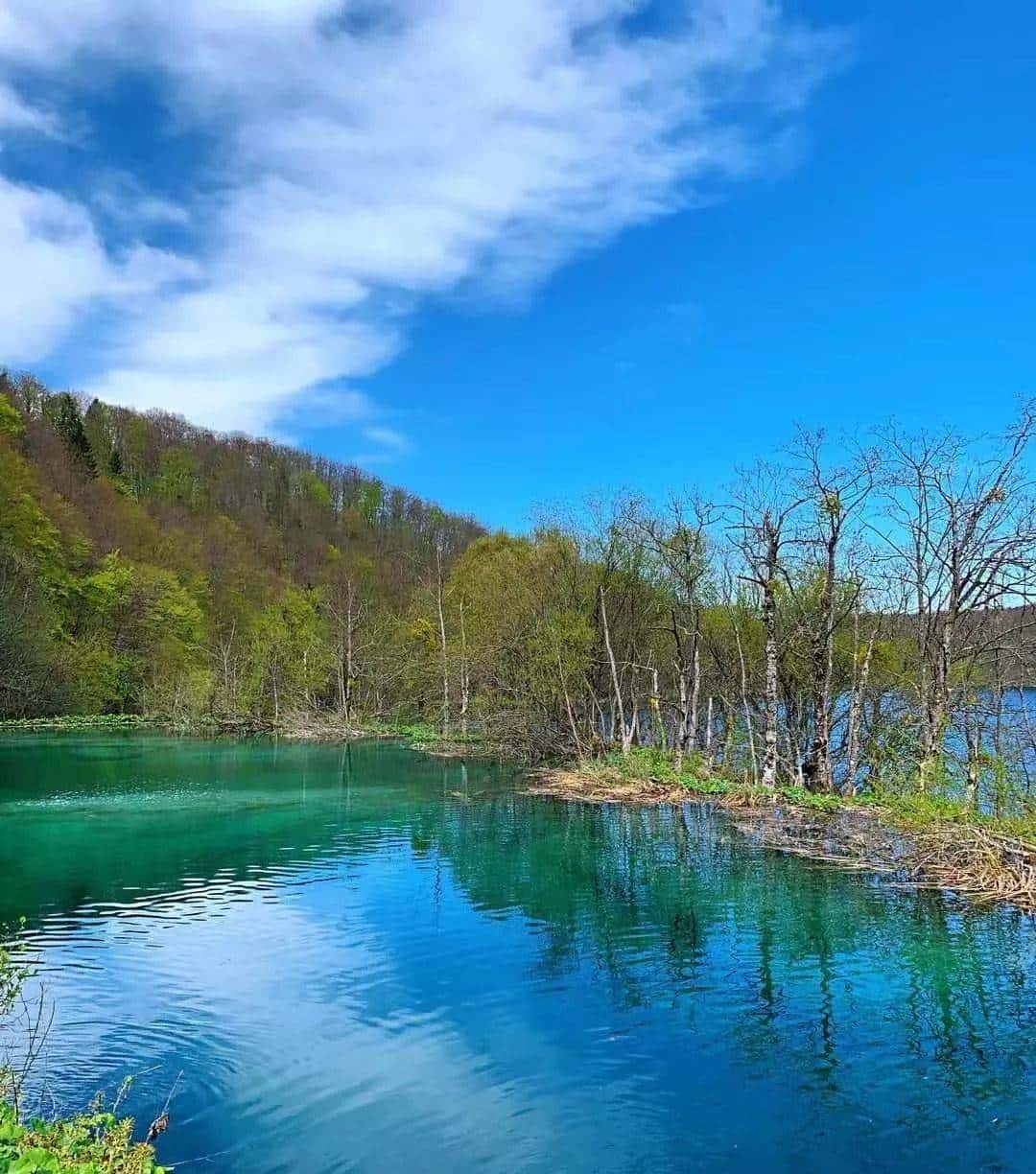 人生是一场马拉松，用你自己的节奏去完成它！