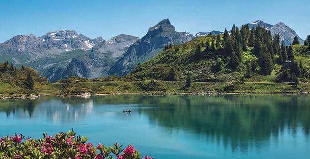 “我运气太差”这句话，我上周还在电梯里听一个穿外卖服的小哥