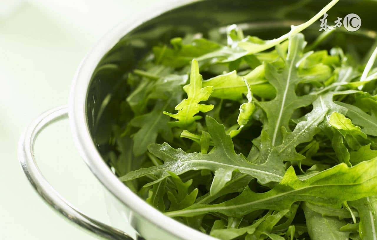 这些营养又美味的野菜,你吃过几个 - 鹿快