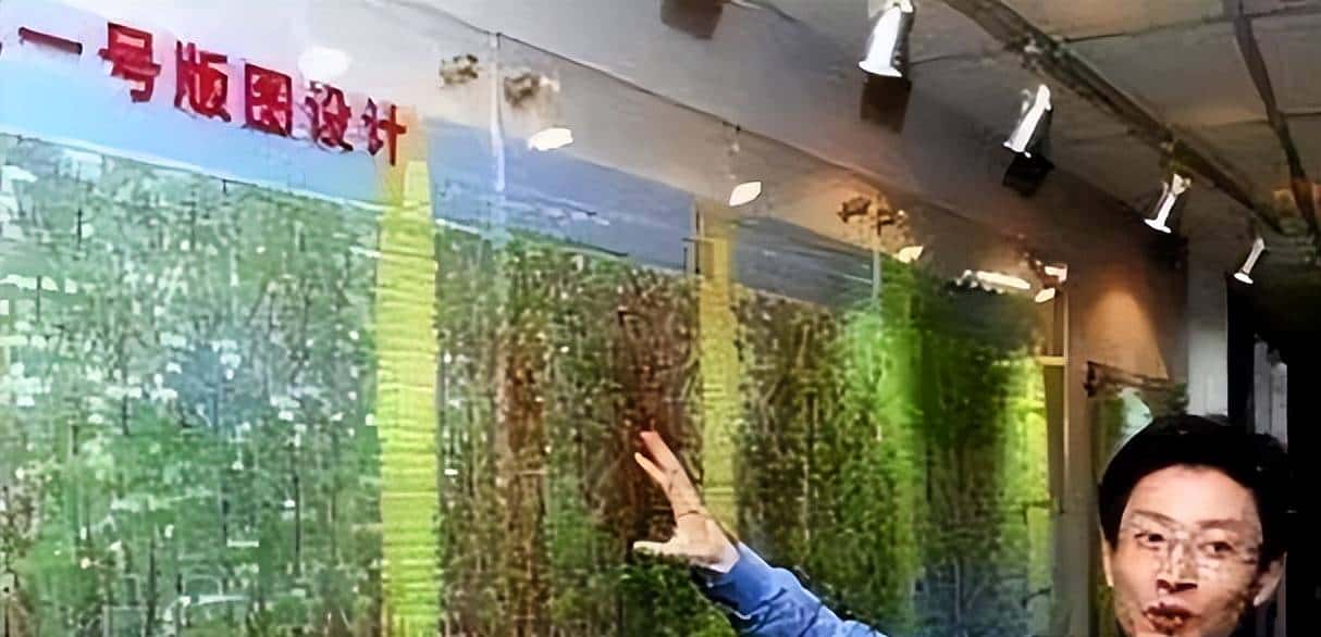 他骗取11亿研发经费，让“中国芯”停滞13年，事情败露后出逃美国