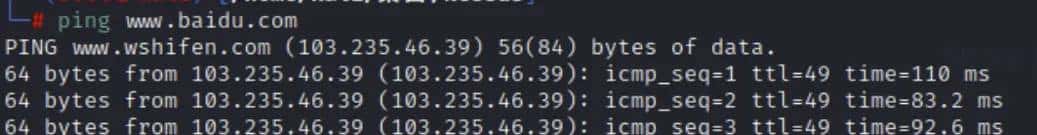 kali linux 临时更新IP地址和网关 DNS,以及ping不通主机排错 - 鹿快