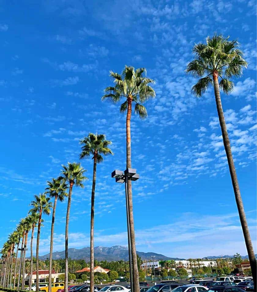 人生是一场马拉松，用你自己的节奏去完成它！