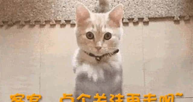 国外太不安全了！蓝战非受胁迫，转账108.8万，绑匪浮出水面