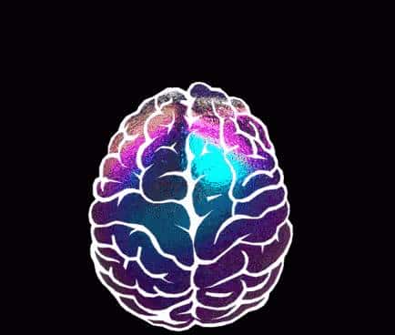 复旦本科生在《我的世界》里造了台计算机：可他并不是计算机系的