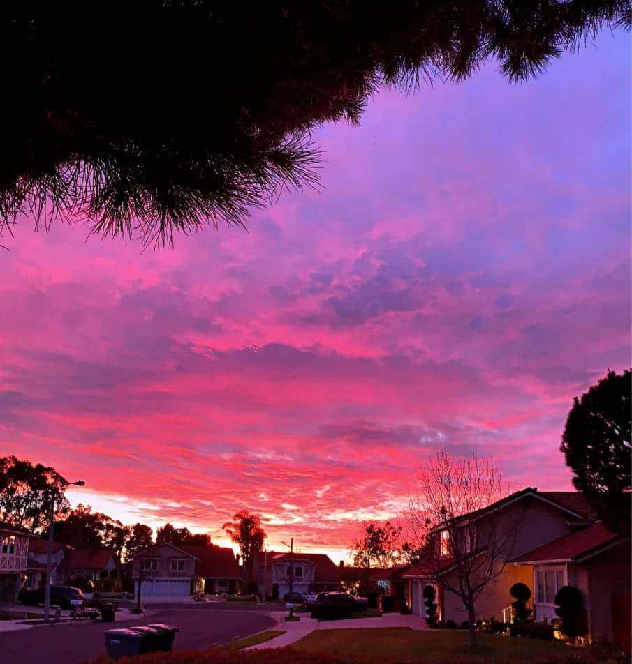 人生是一场马拉松，用你自己的节奏去完成它！