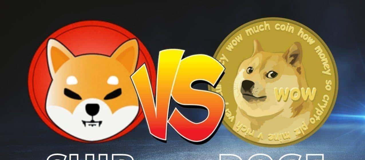 今年涨28万倍的“shib币”前世今生，币圈真可以点石成金？