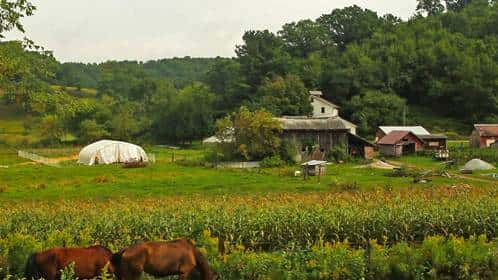 多伦多农场采摘全攻略！去加拿大当一天农民好吗？！