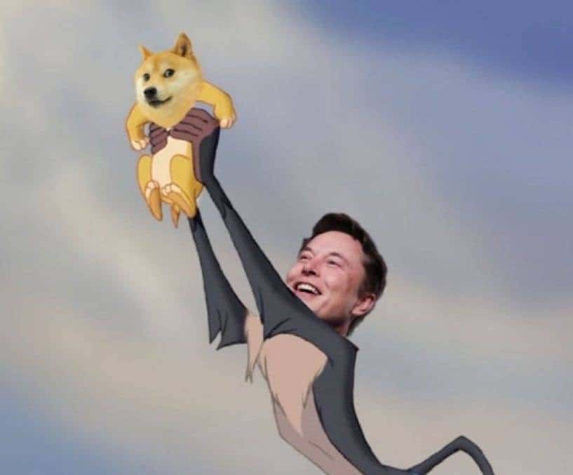 今年涨28万倍的“shib币”前世今生，币圈真可以点石成金？