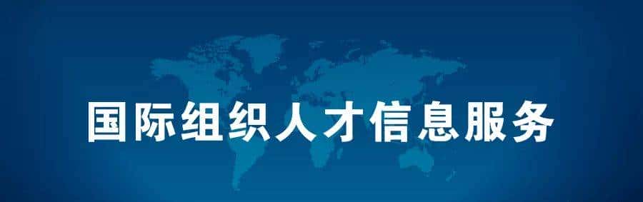 WTO、BIS、ICAO招聘啦 - 鹿快