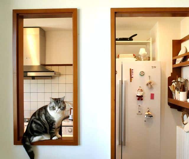 把墙挖个洞,厨房秒变“社交C位”。