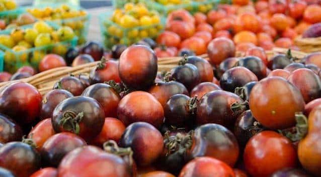 多伦多农场采摘全攻略！去加拿大当一天农民好吗？！