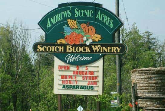 多伦多农场采摘全攻略！去加拿大当一天农民好吗？！