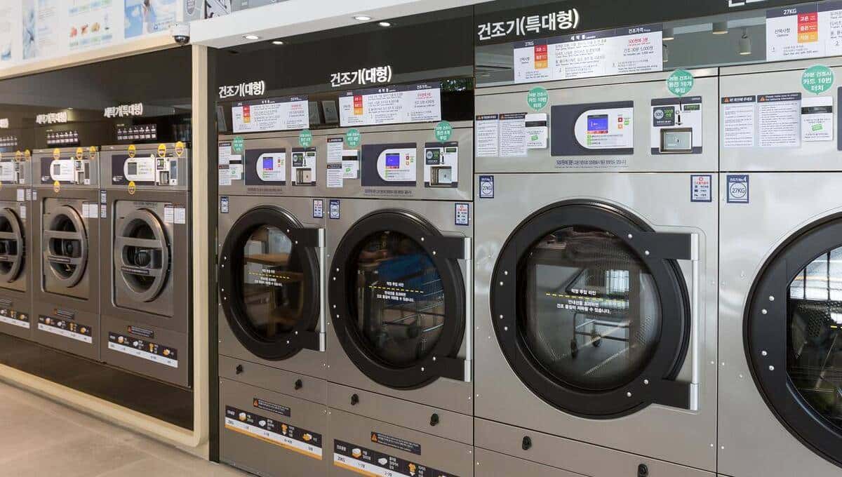 初中英语单词打卡(七下W) - 鹿快