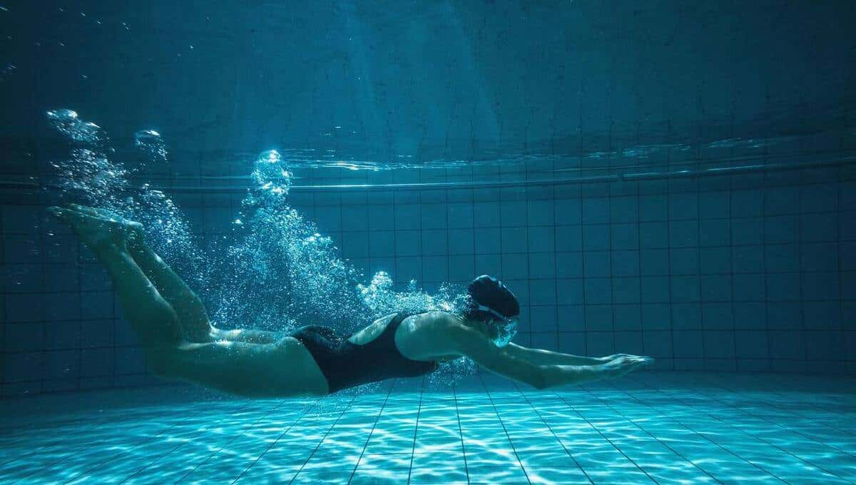 初中英语单词打卡（七下W）