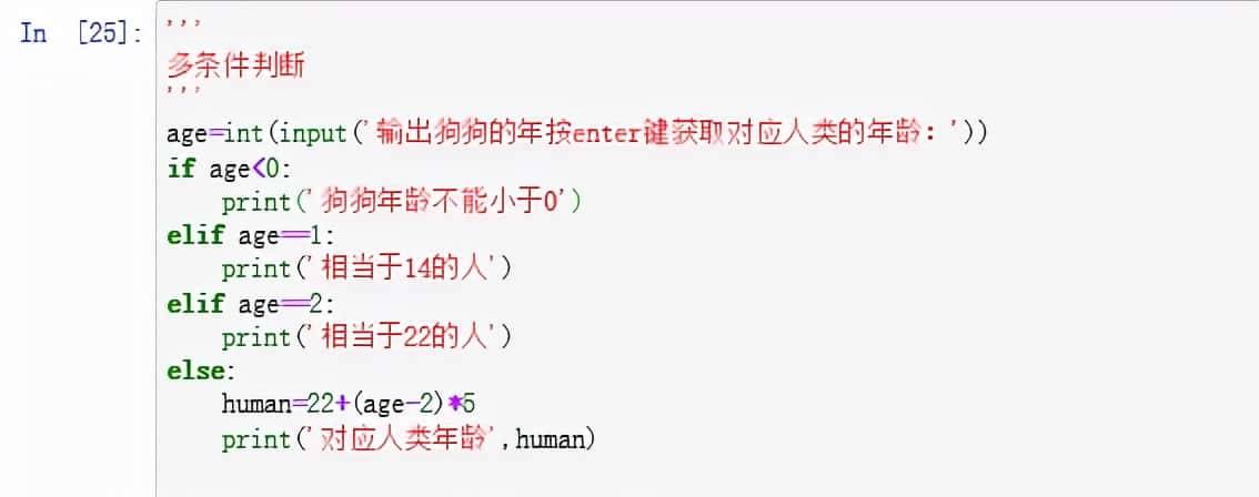 Python的基础知识