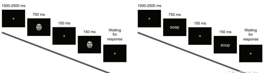 只剩半个大脑，人识字看脸准确率竟还能达80% | PNAS
