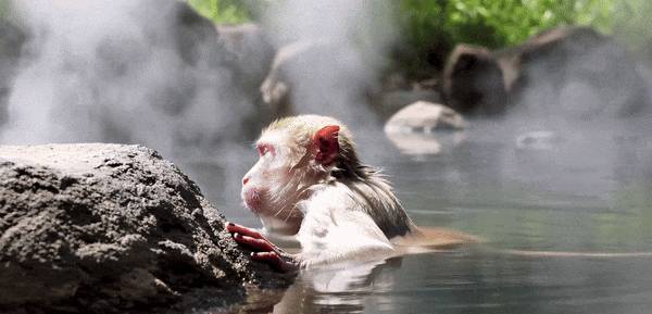 Meta又给OpenAI一记重击,视频生成Movie Gen登场,可以配音、编辑