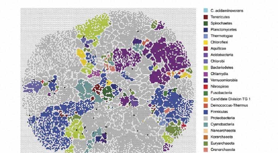 基于自组织映射的检索增强生成(RAG) - 鹿快