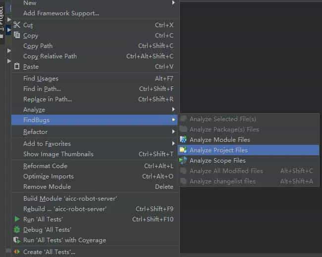 idea插件FindBugs-IDEA的使用