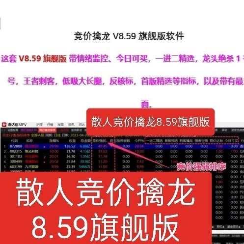 2023年5月上新散人竞价擒龙v8.59旗舰版无加密源码 - 鹿快