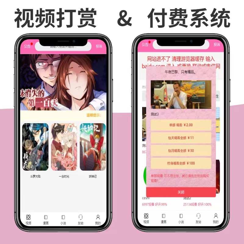 视频付费打赏系统在线观看包天包月单片买断小说打赏源码搭建出售