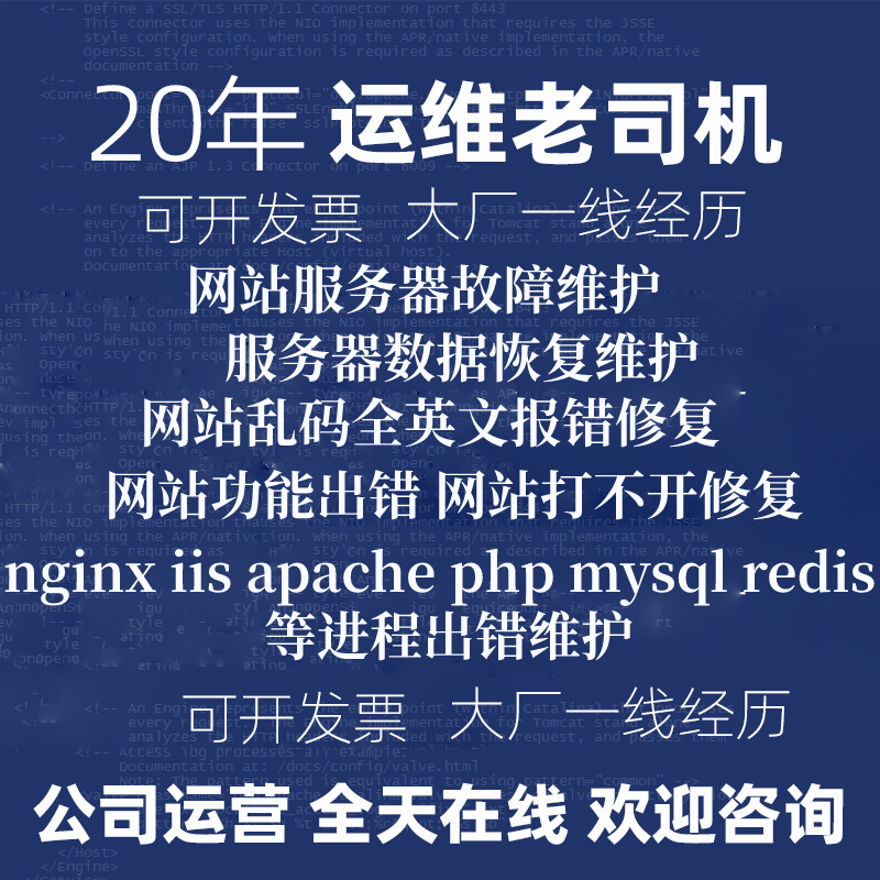 网站故障修复宝塔无法访问打开报错功能异常打开慢乱码报错维护 - 鹿快