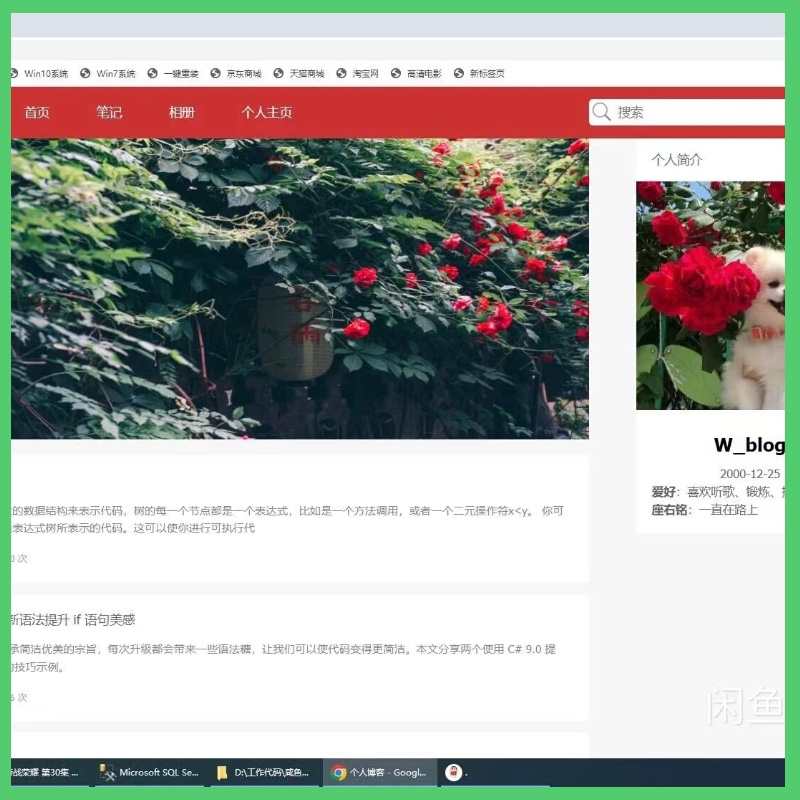 计算机程序设计net项目java项目python代码php小程序web源码素材