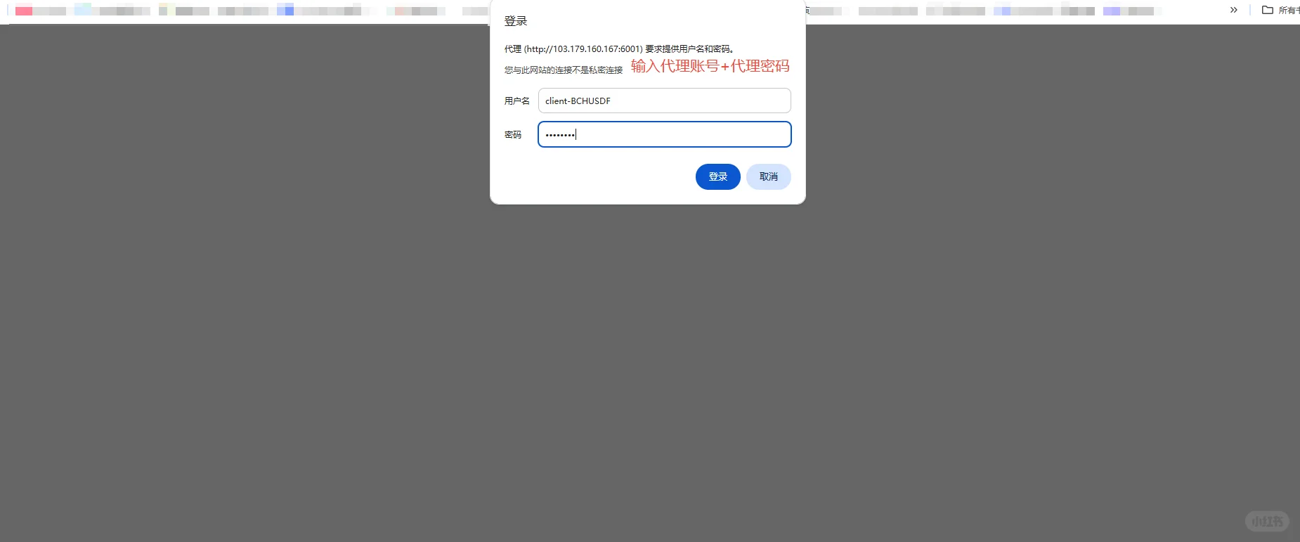 谷歌如何配置住宅IP？ - 鹿快