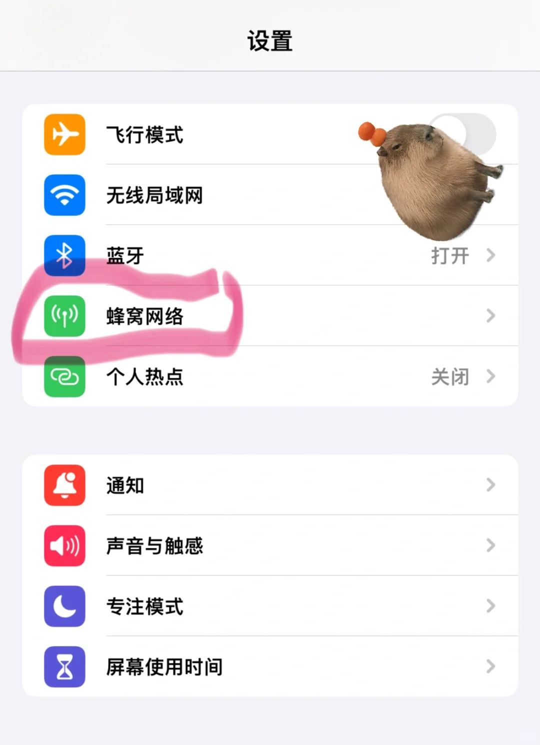 📱苹果手机流量| 关闭切换数据不再跑流量 - 鹿快