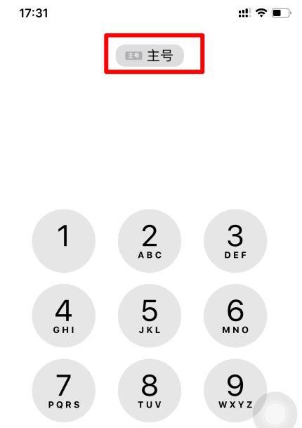 iphone怎么设置副卡呼叫？ - 鹿快