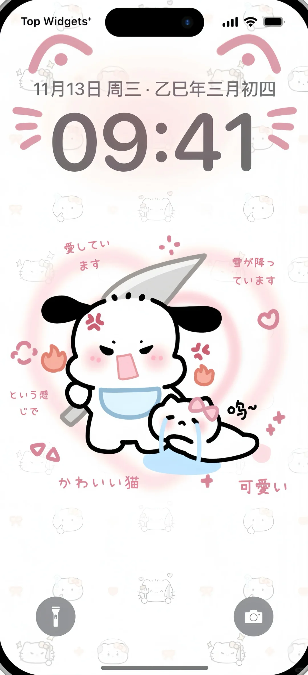 免费帕恰狗Kitty分享 - 鹿快